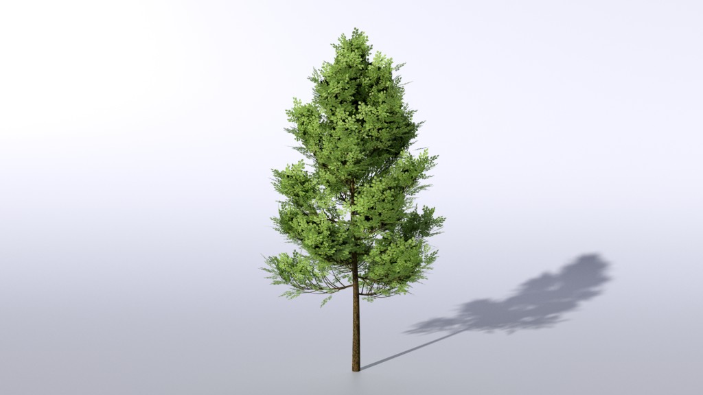 Tree preview image 8